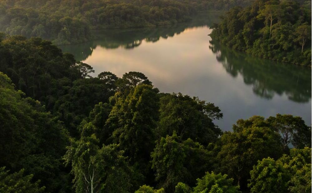 The Central Catchment Nature Reserve beside Thomson Reserve
